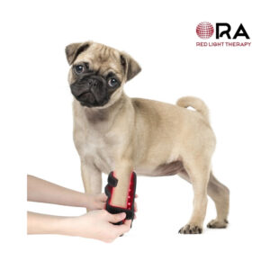 SG-WP-HD for dogs legs 01